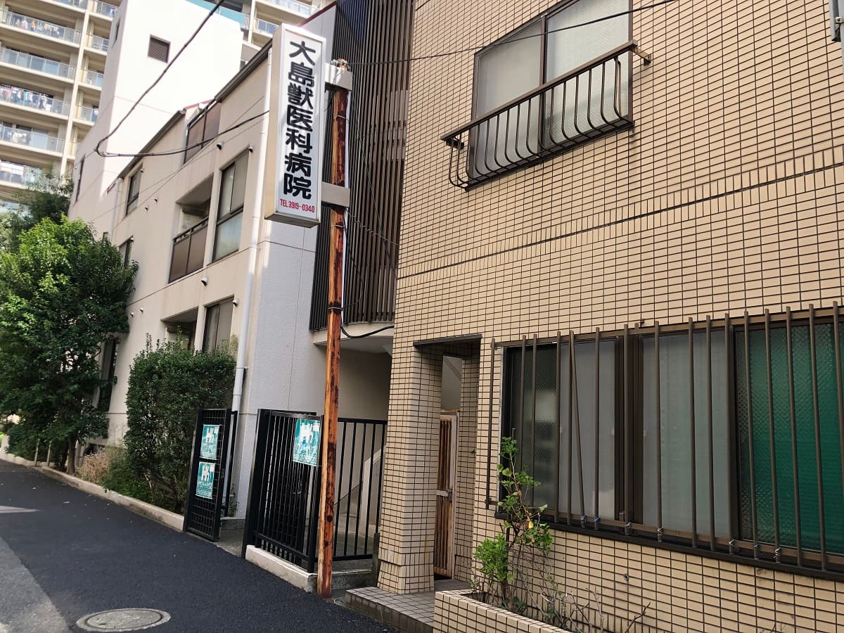 大島獣医科病院