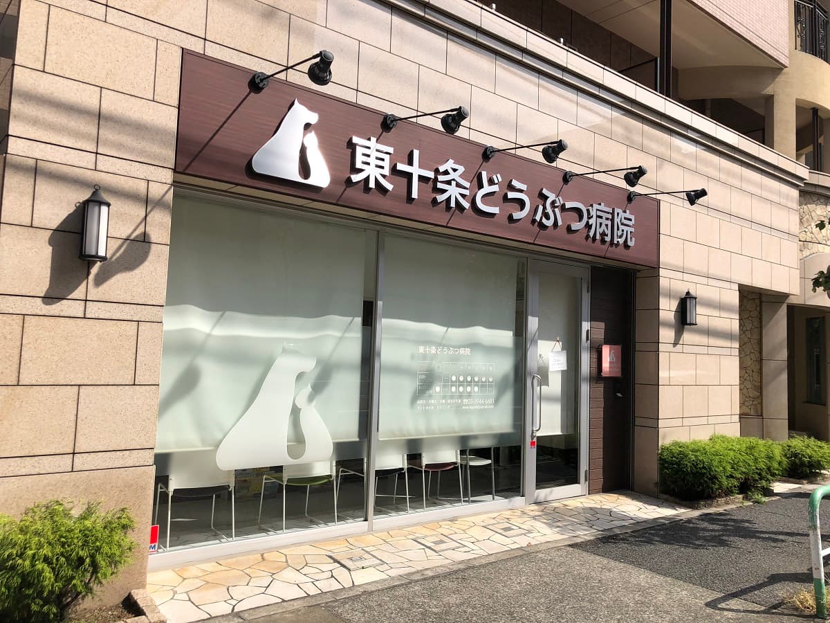 東十条どうぶつ病院