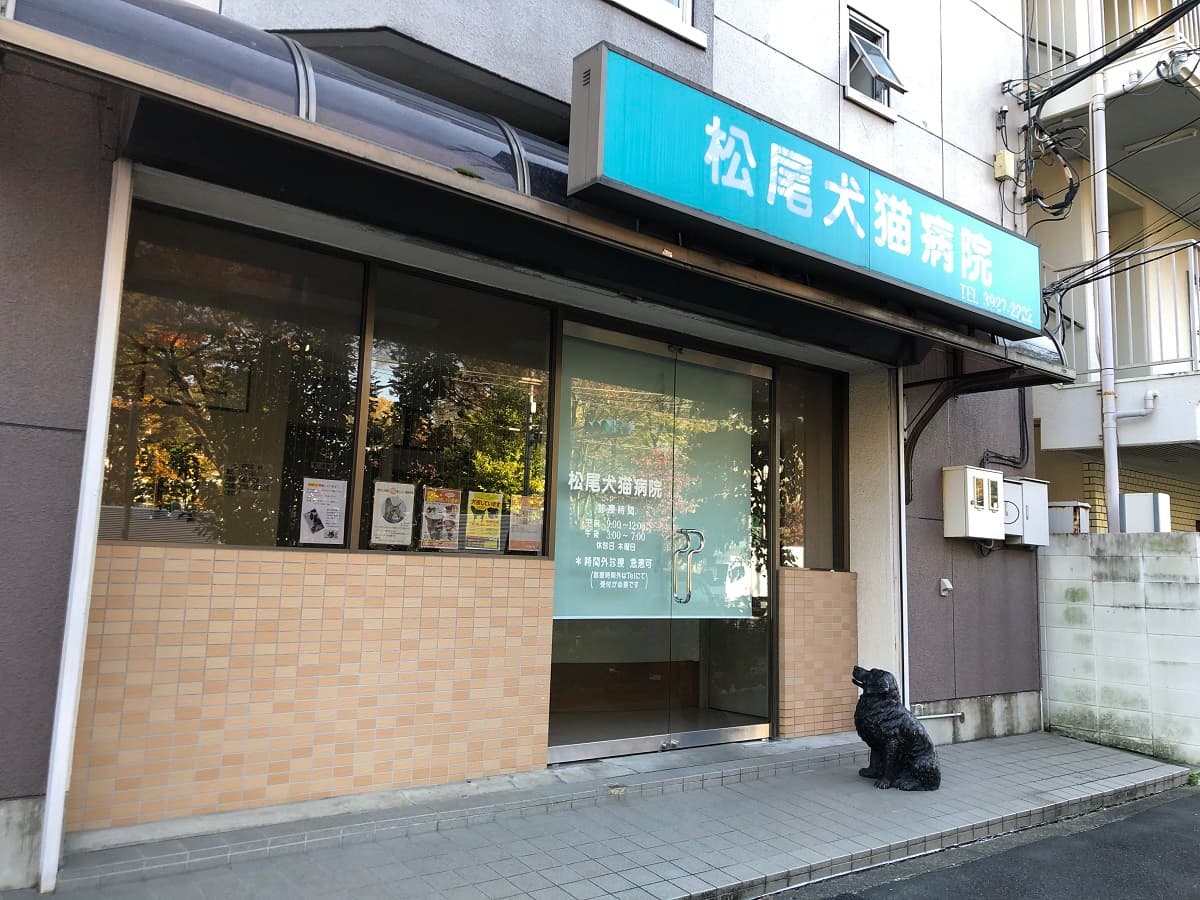 松尾犬猫病院