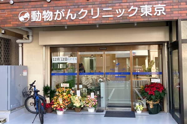動物がんクリニック東京 3