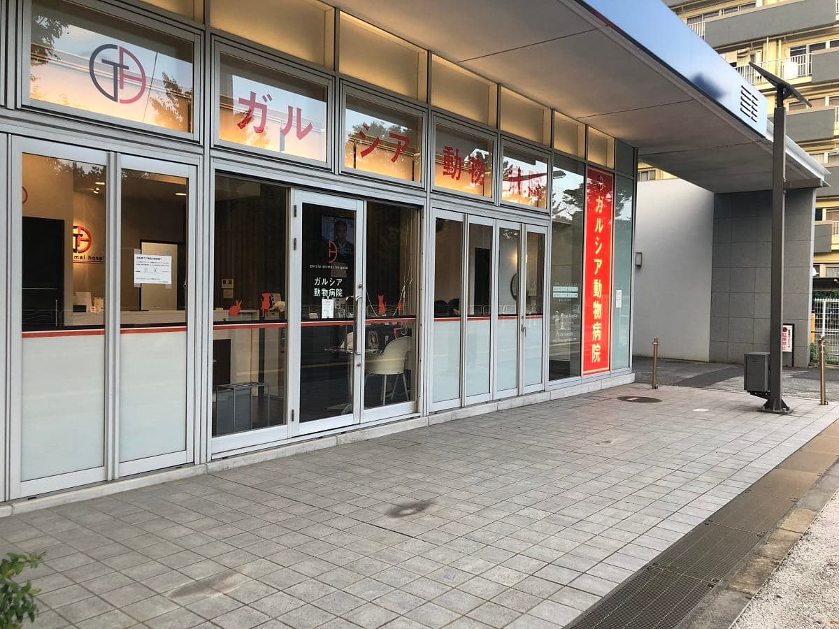 ガルシア動物病院