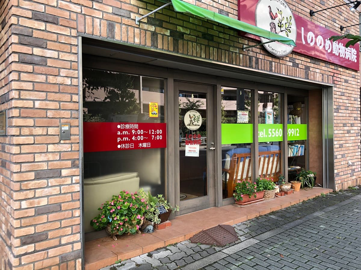 しののめ動物病院