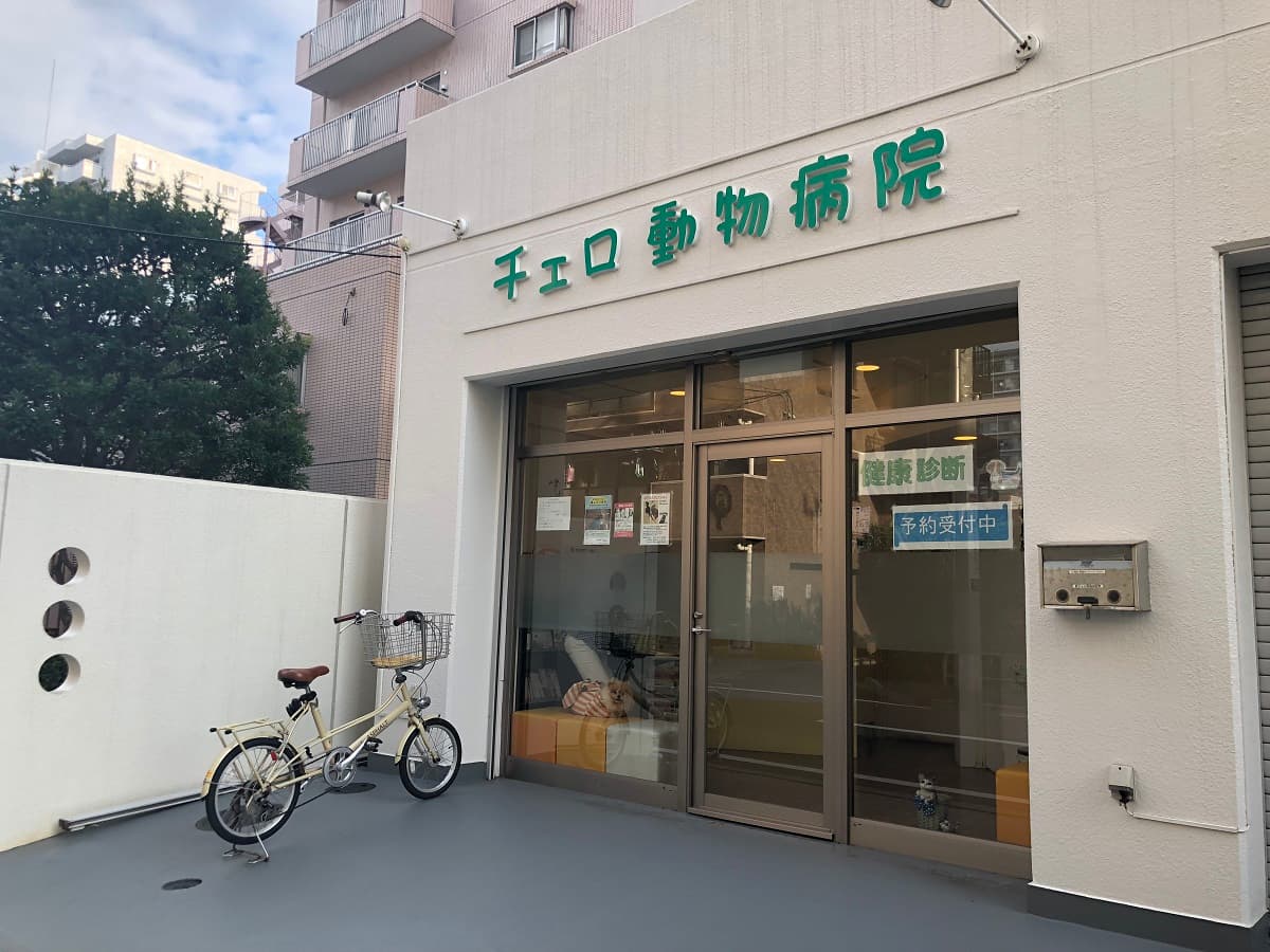 チェロ動物病院