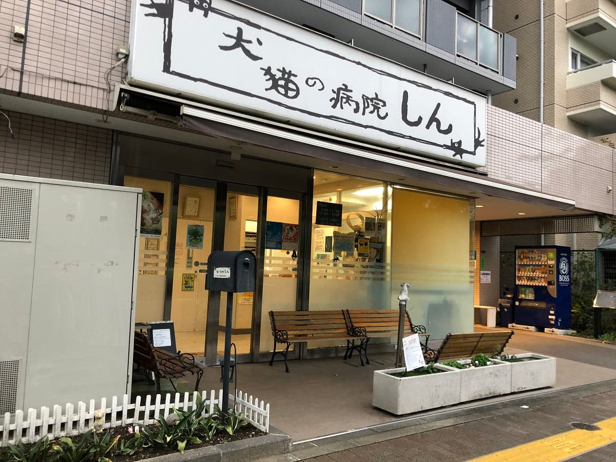 犬猫の病院しん