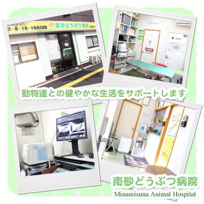 南砂どうぶつ病院