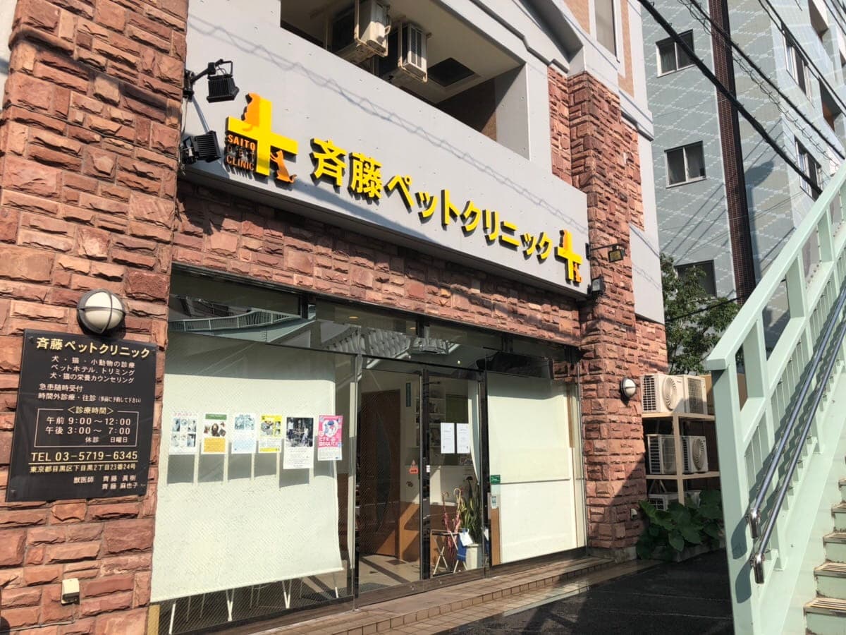 斉藤ペットクリニック