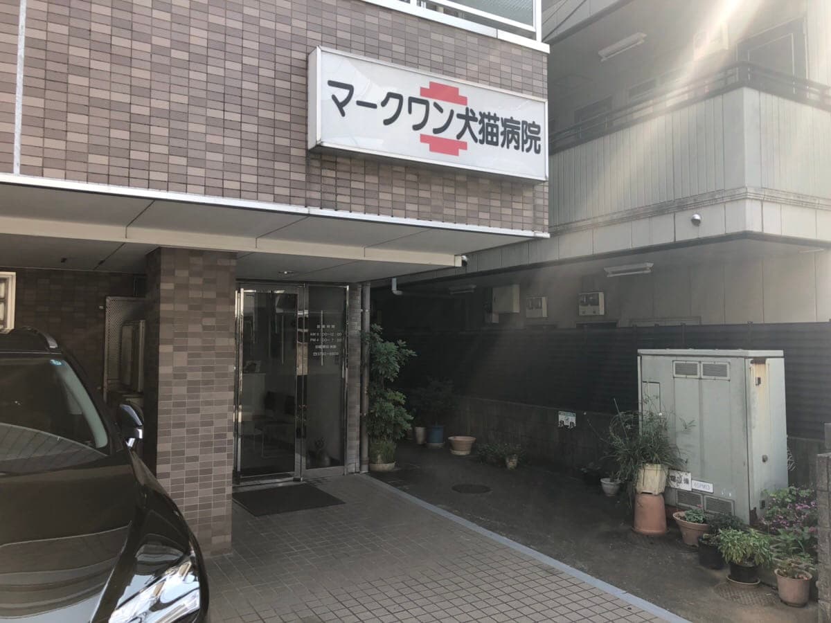 マークワン犬猫病院