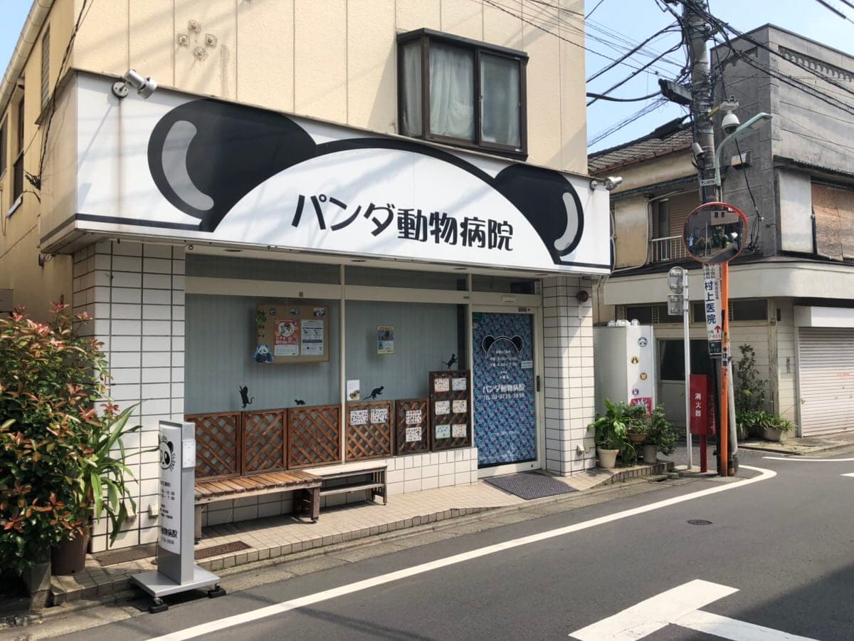 パンダ動物病院