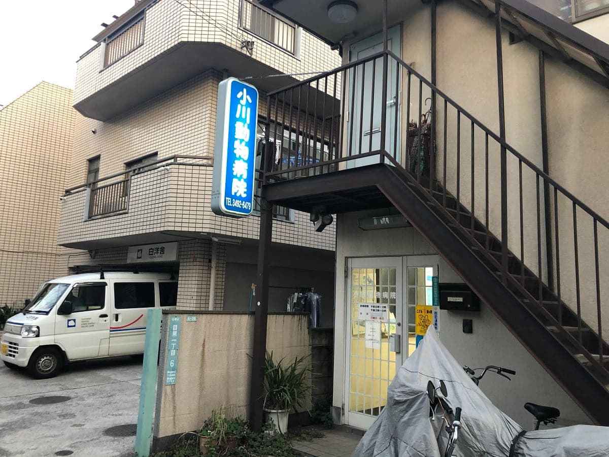 小川動物病院