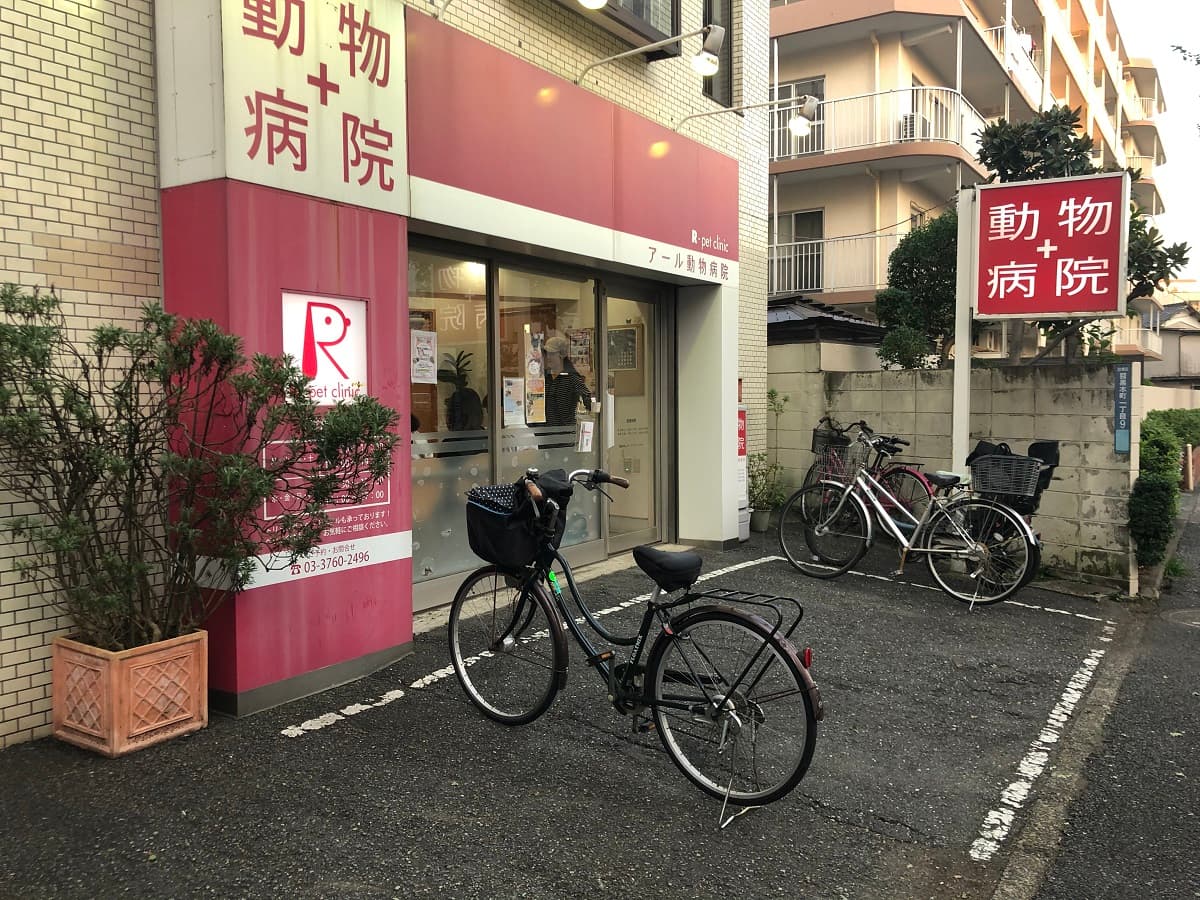 アール動物病院