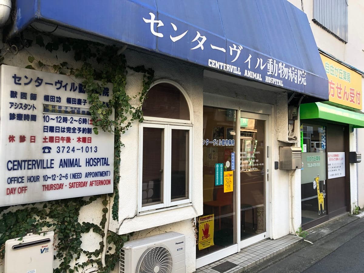 センターヴィル動物病院