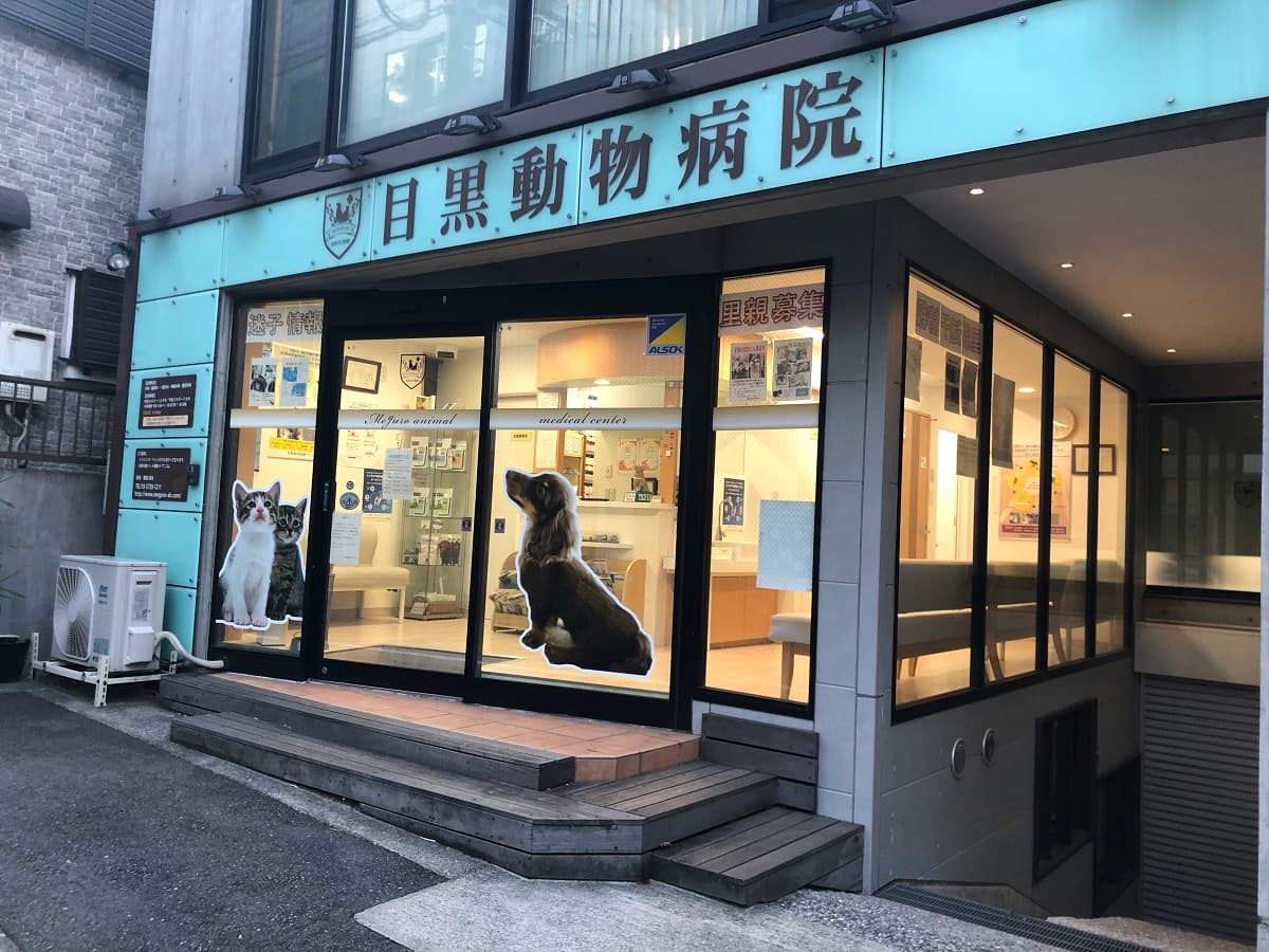 目黒動物医療センター