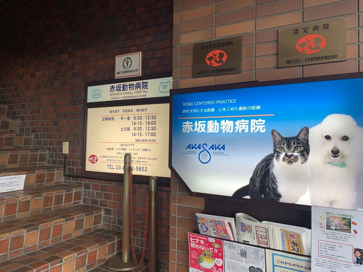 赤坂動物病院