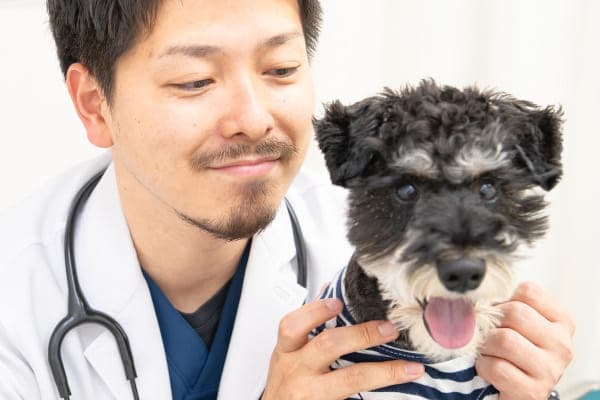 LEO動物病院