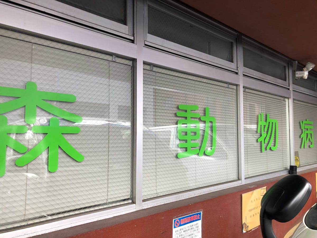 森動物病院