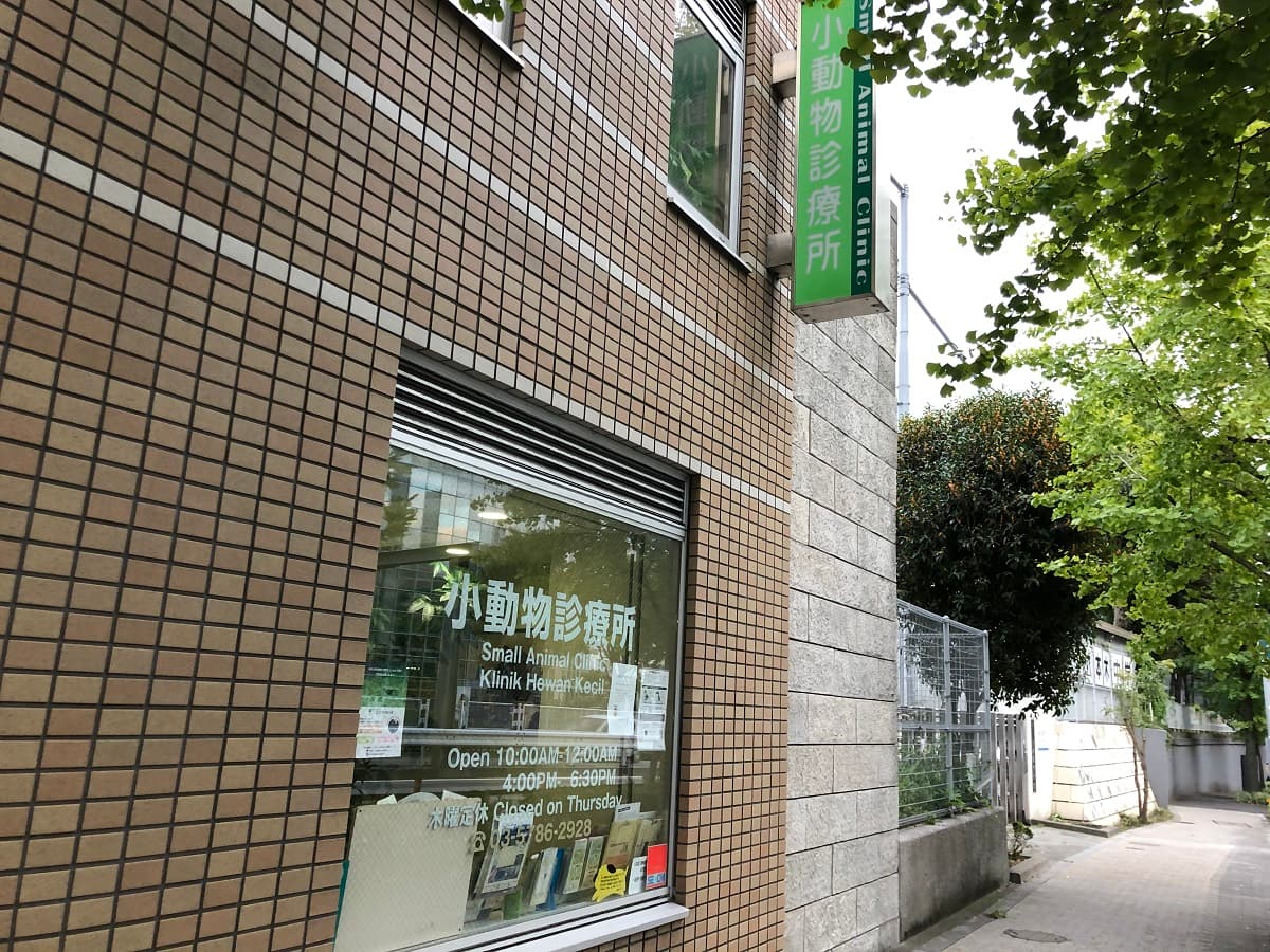小動物診療所