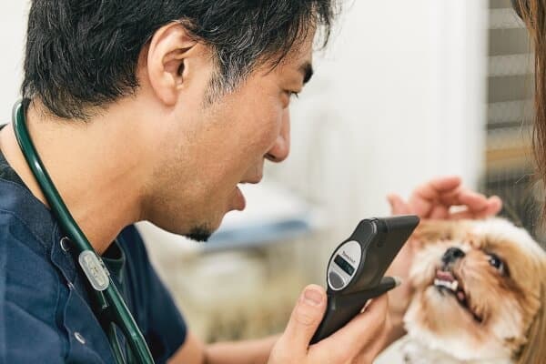 はちや動物病院
