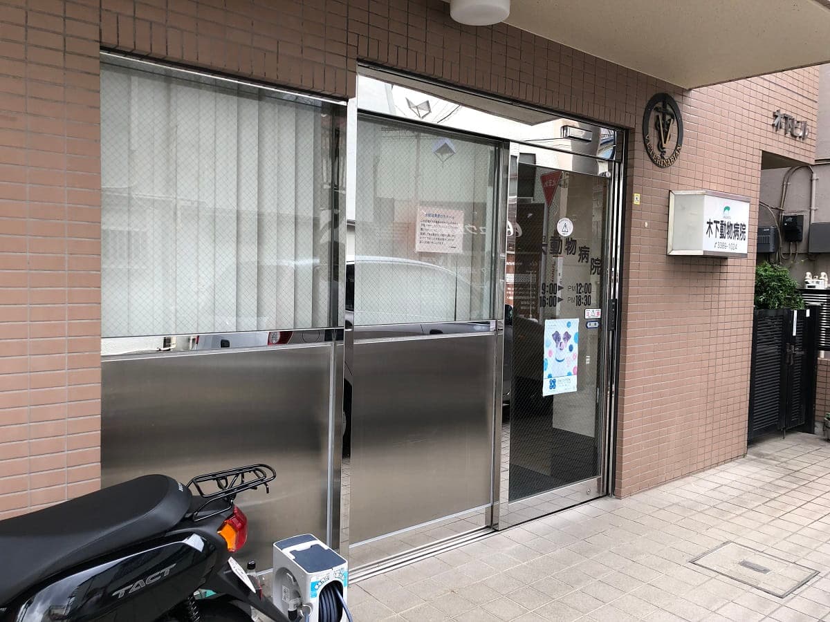 木下動物病院