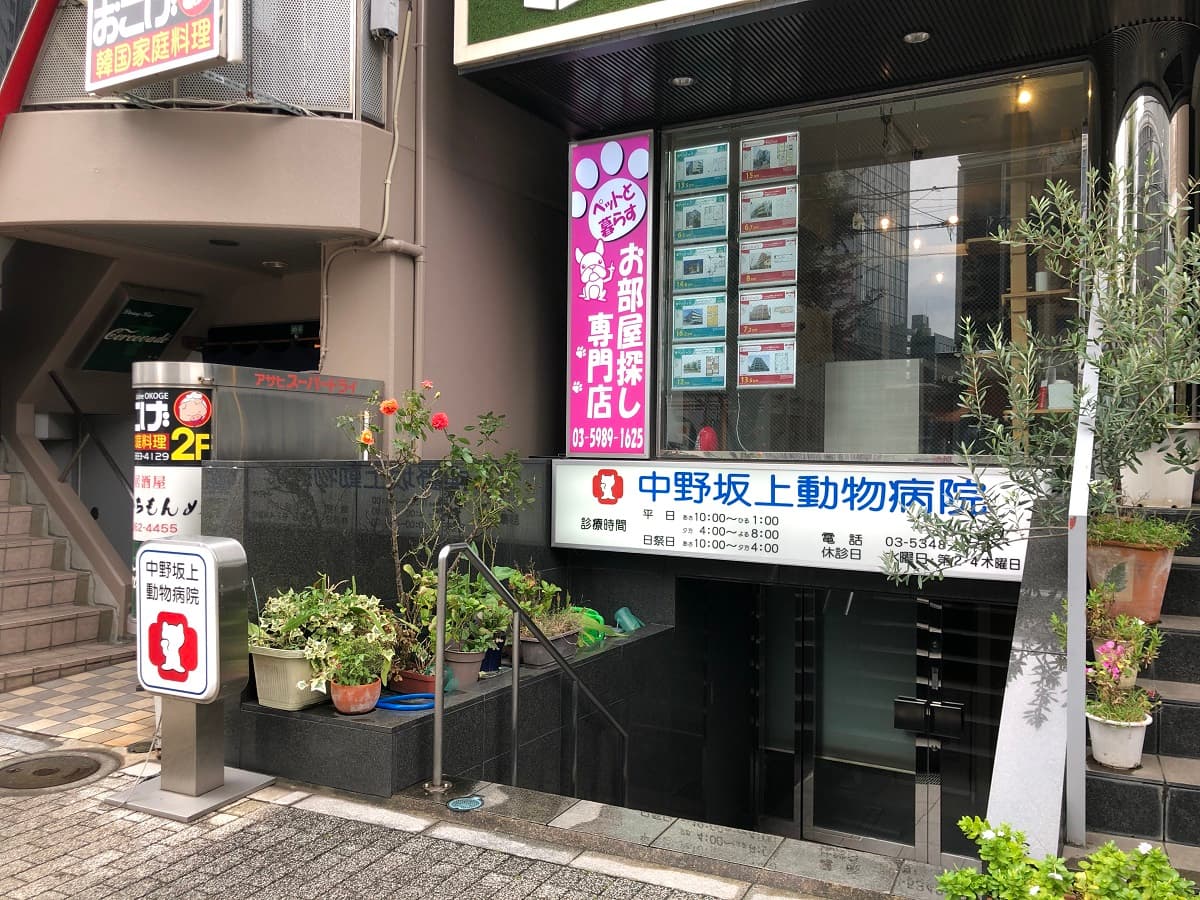 中野坂上動物病院