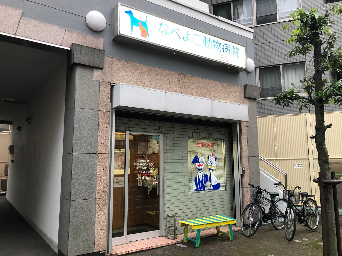 なべよこ動物病院