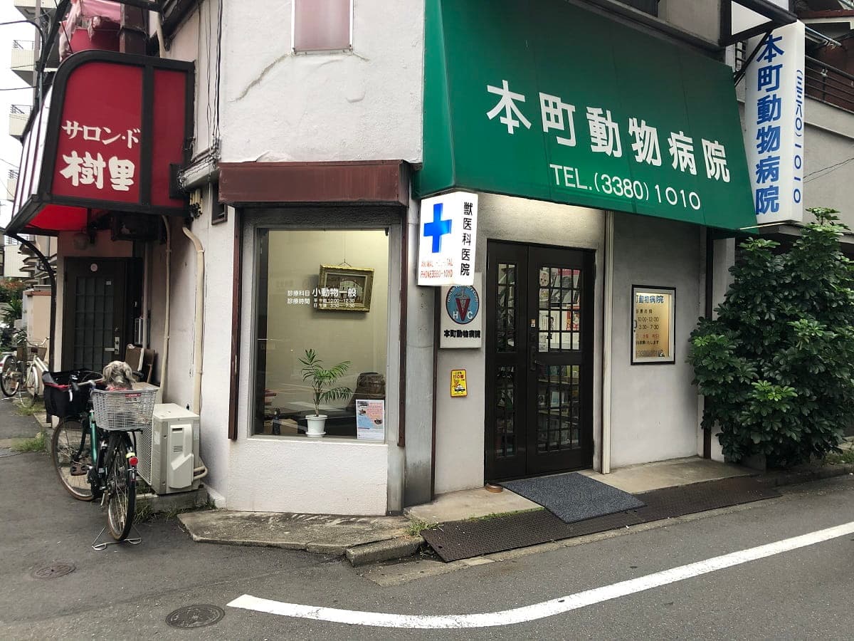 本町動物病院