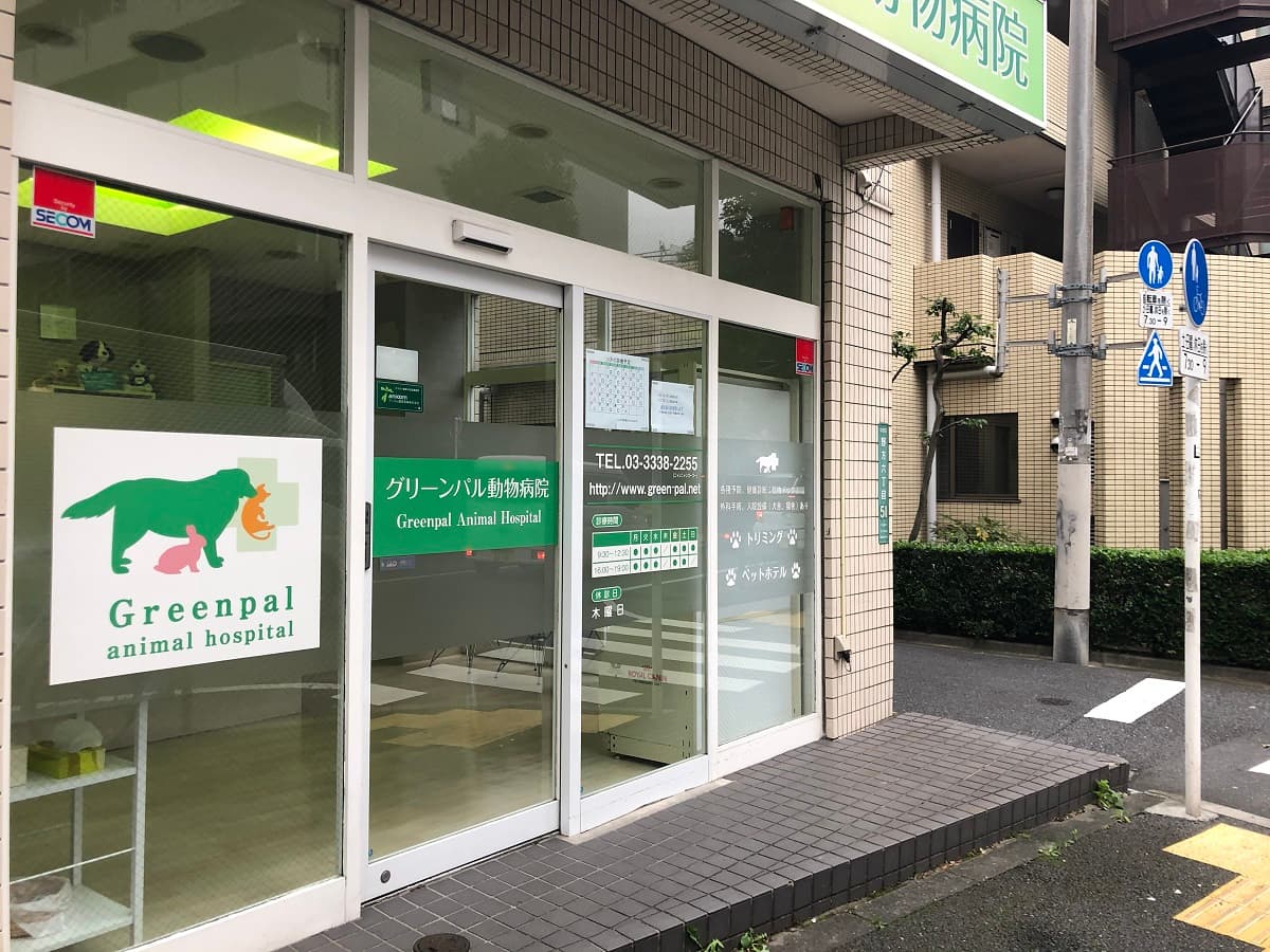 グリーンパル動物病院