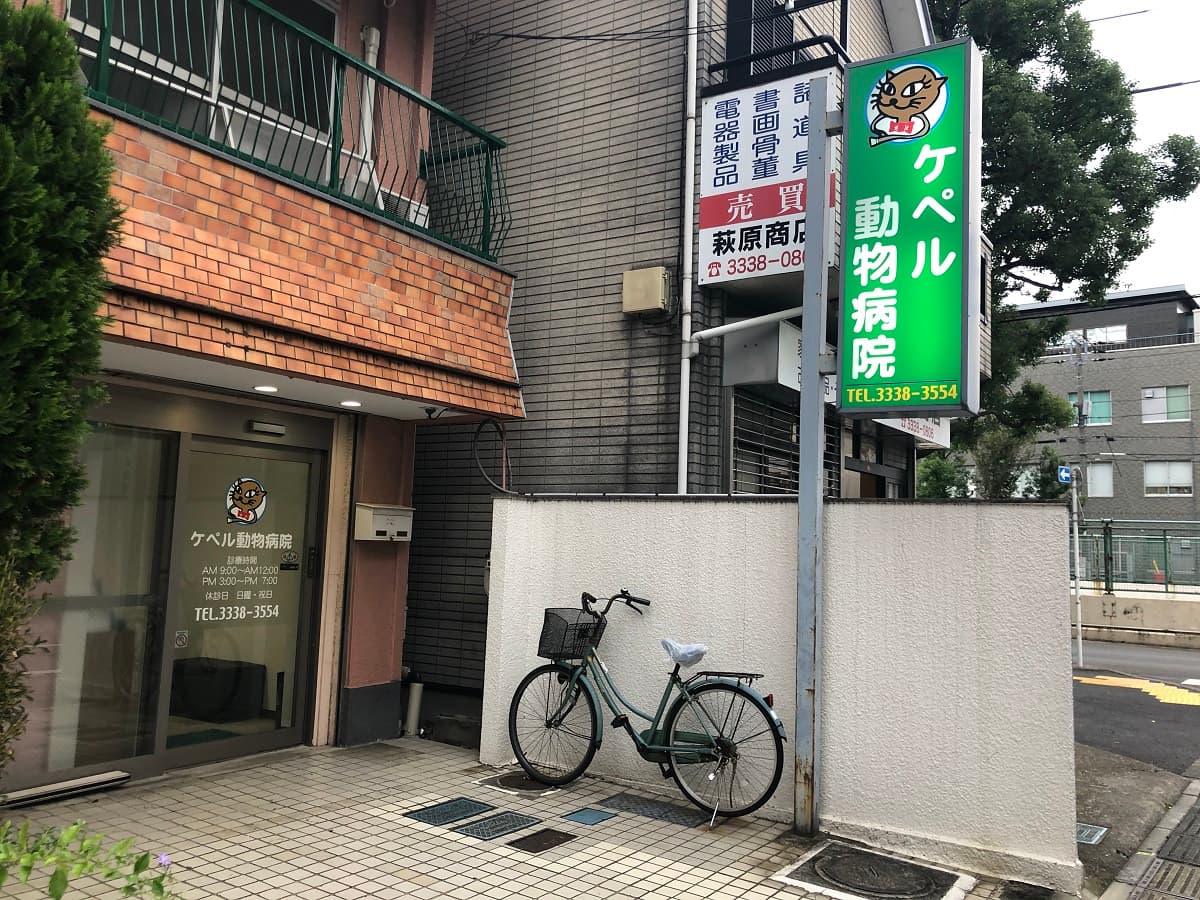 ケペル動物病院