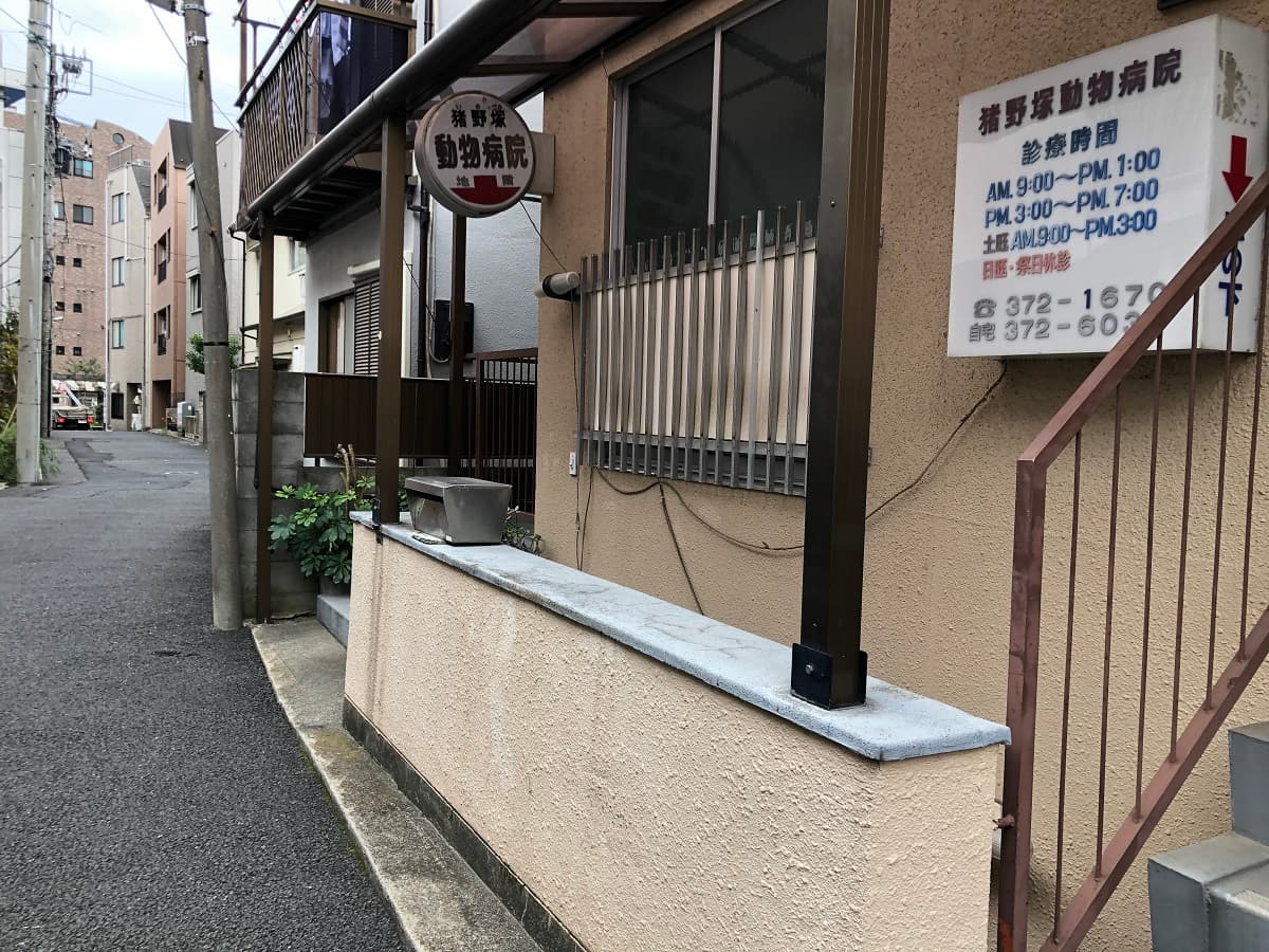猪野塚動物病院