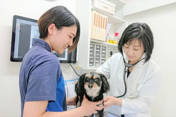 光が丘動物病院