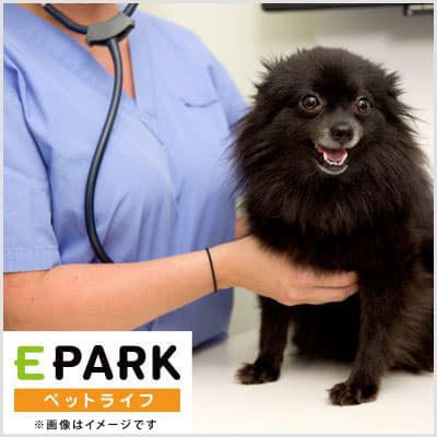 練馬動物病院