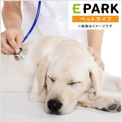 ＫＡＺＵ動物病院