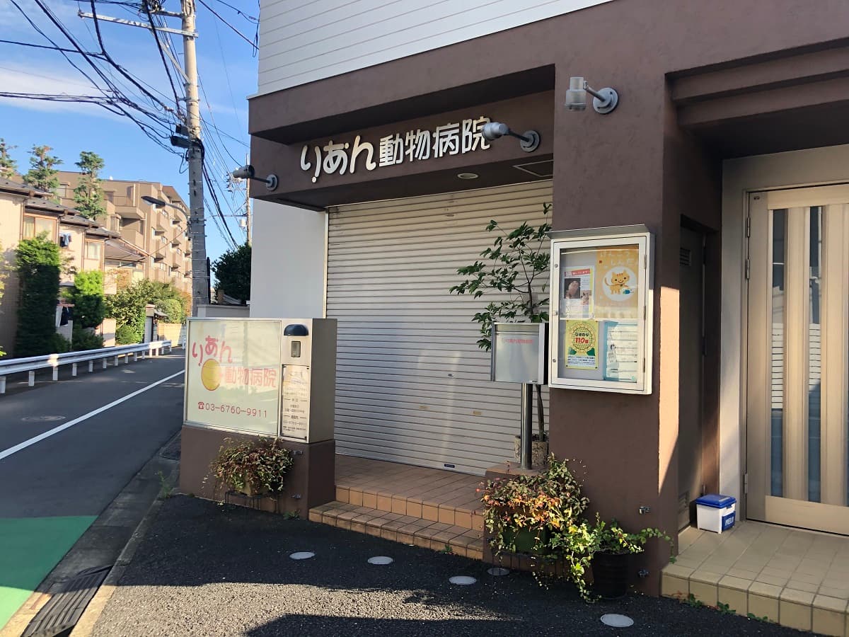 りあん動物病院