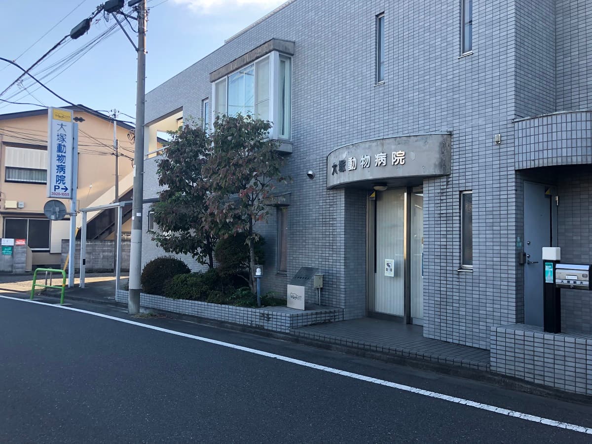 大塚動物病院