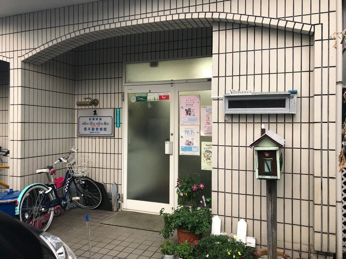 橋本動物病院