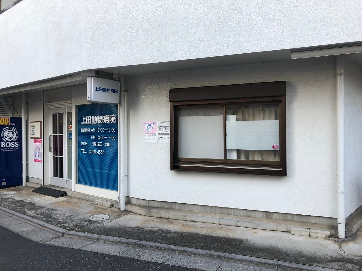 上田動物病院