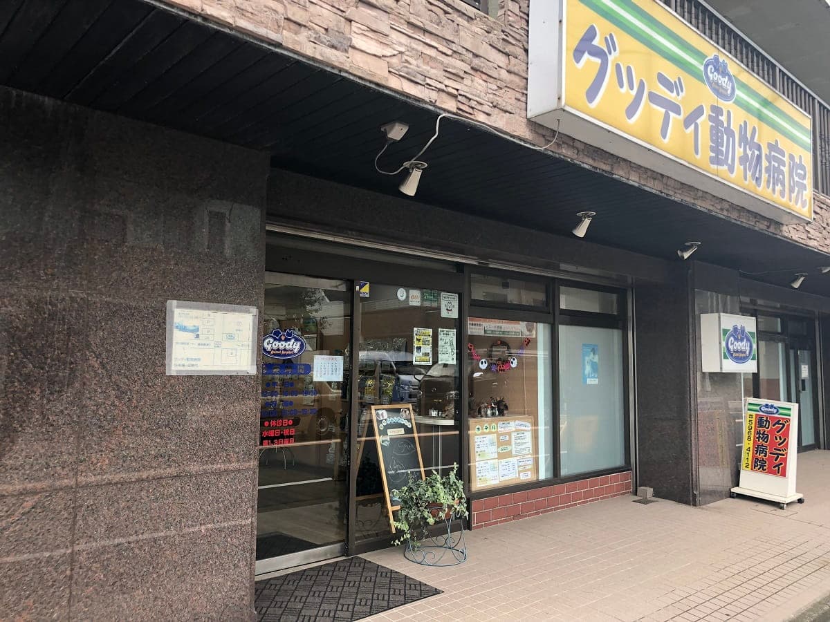 グッディ動物病院