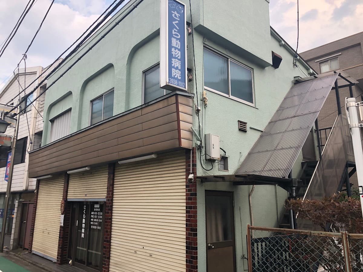 さくら動物病院