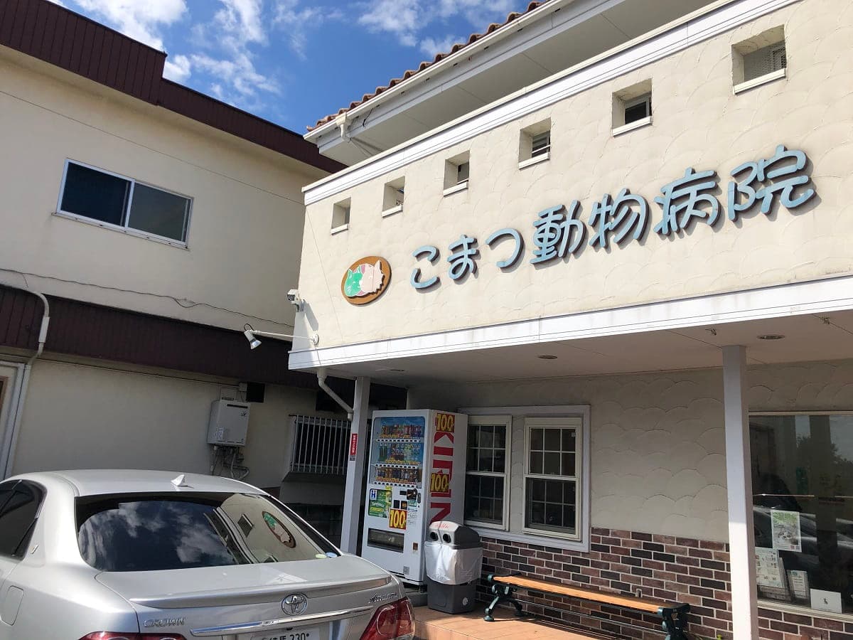 こまつ動物病院