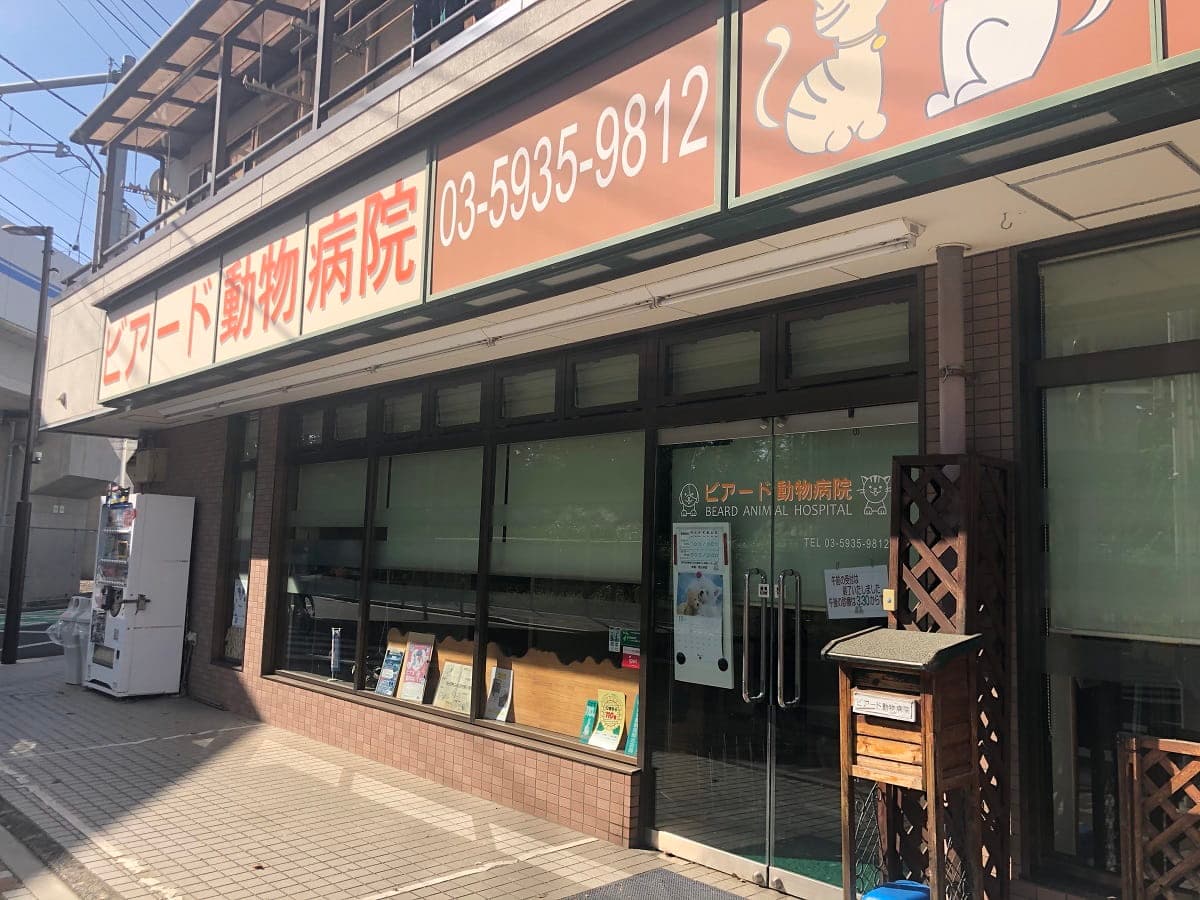 ビアード動物病院