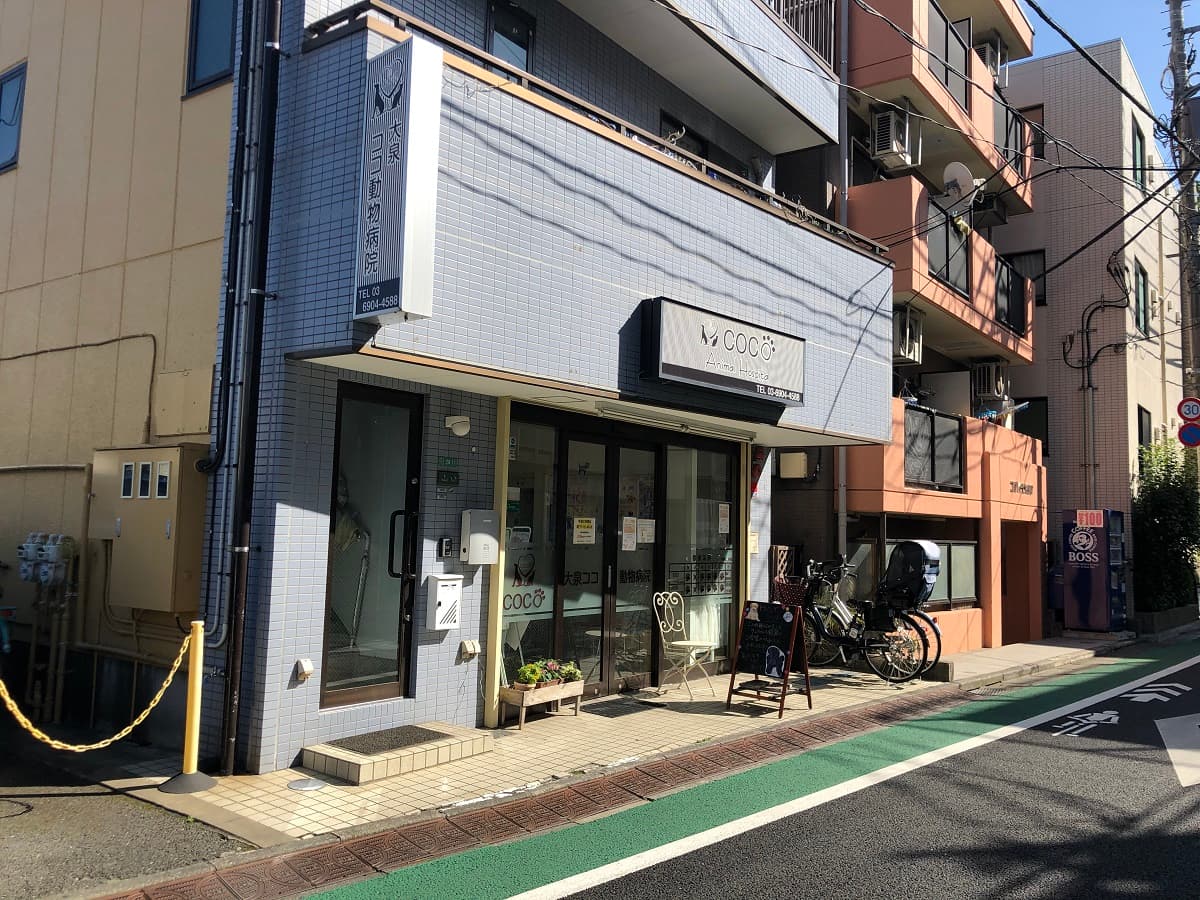大泉ココ動物病院