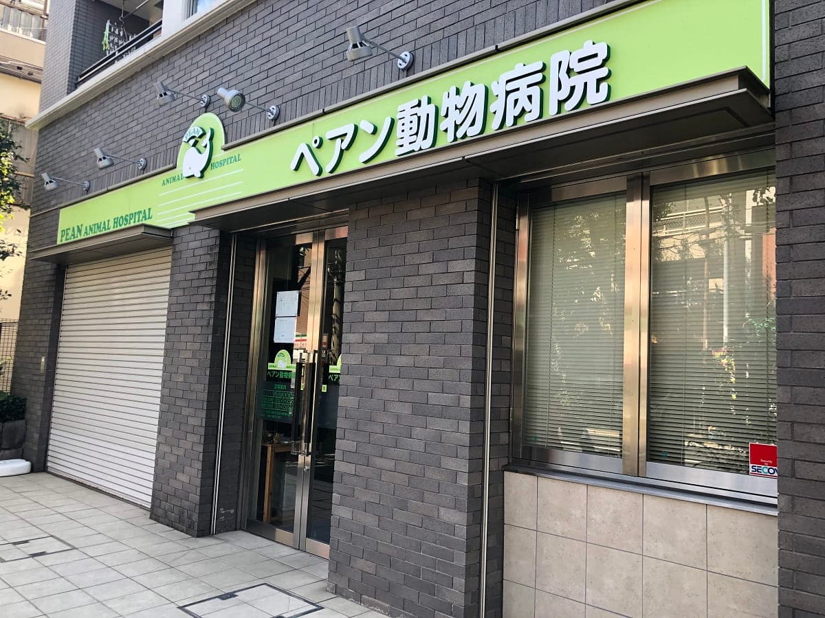 ペアン動物病院