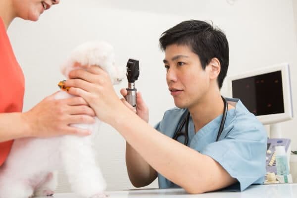 動物病院 セカンドセレクト 2