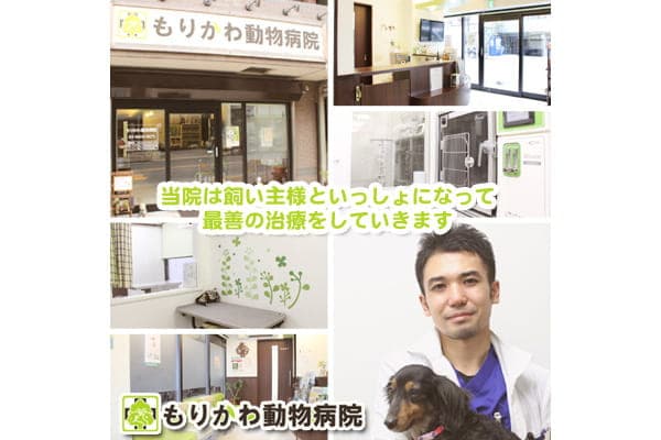 もりかわ動物病院