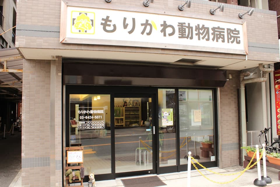 もりかわ動物病院 2
