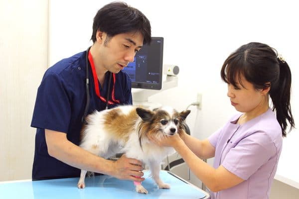 クラウン動物病院 2