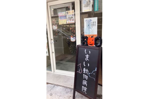 いまい動物病院（一般診療・TNR） 3