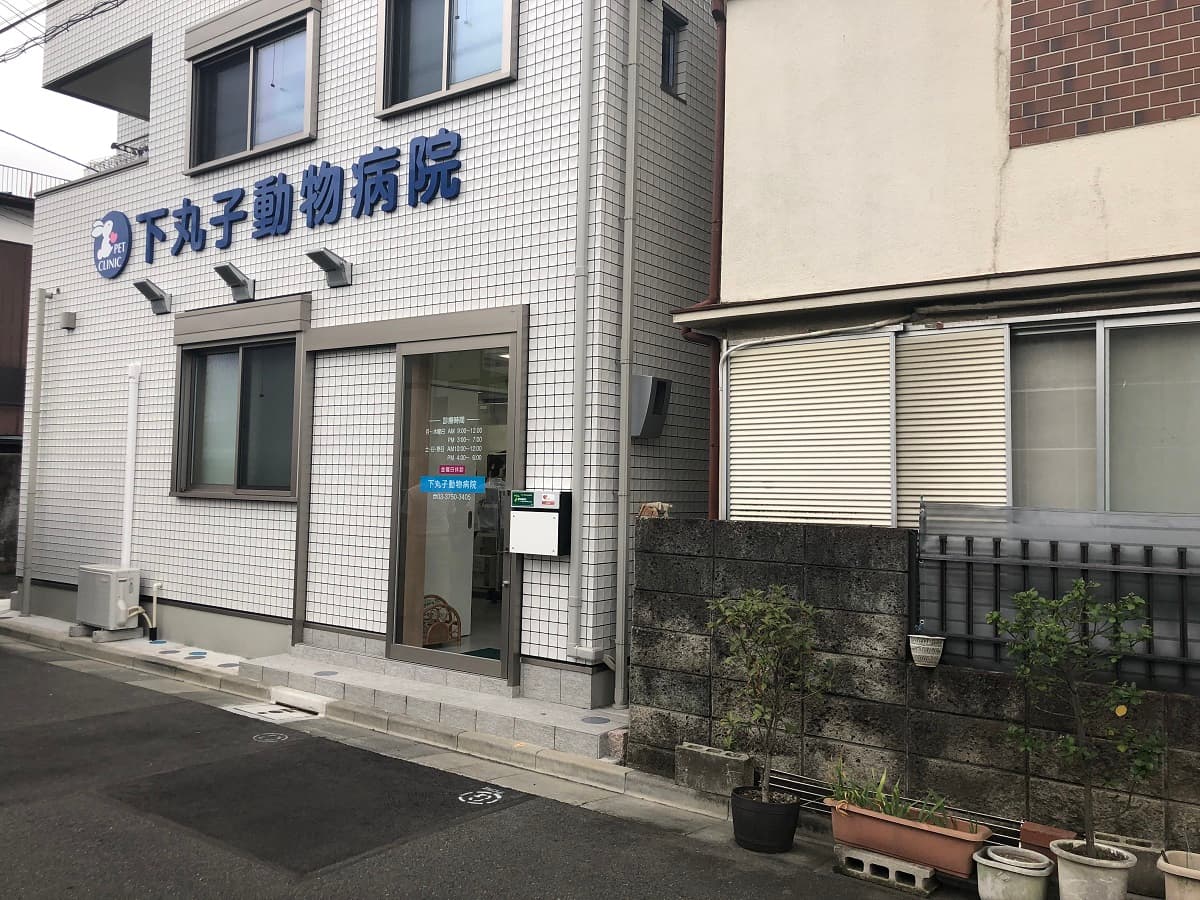 下丸子動物病院