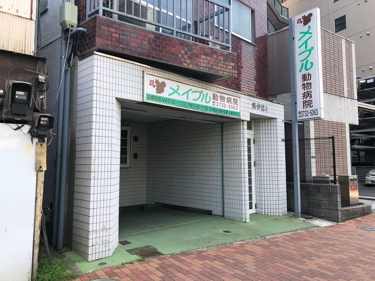メイプル動物病院