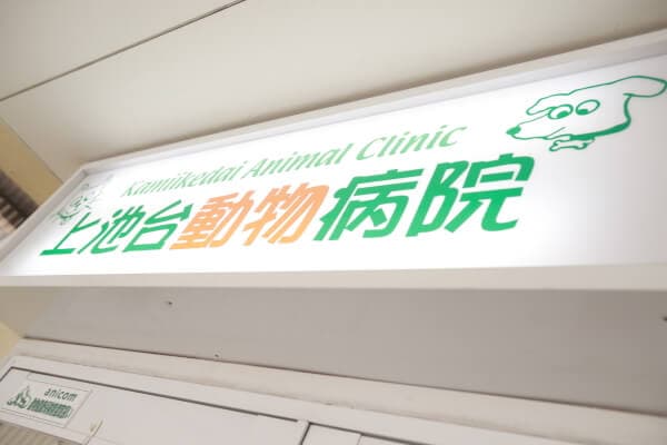 上池台動物病院 2