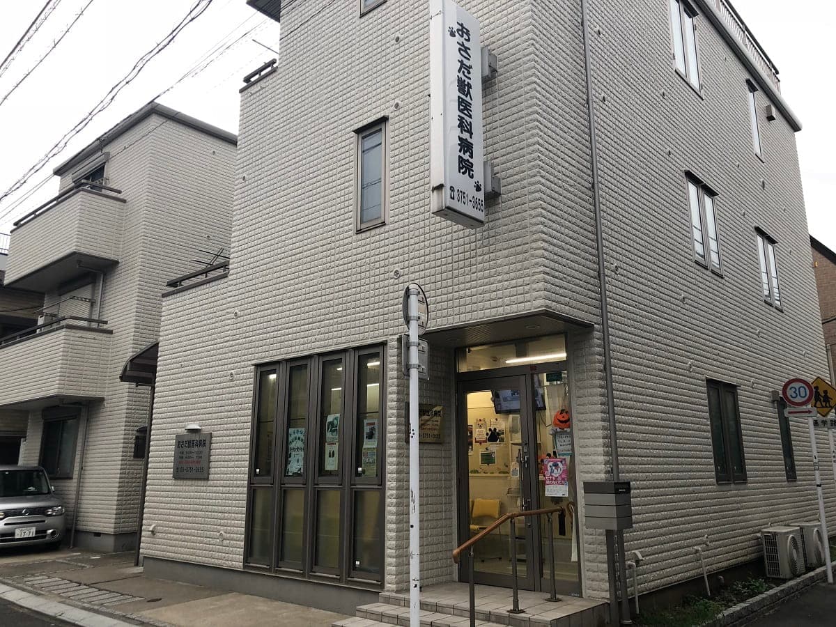 おさだ獣医科病院